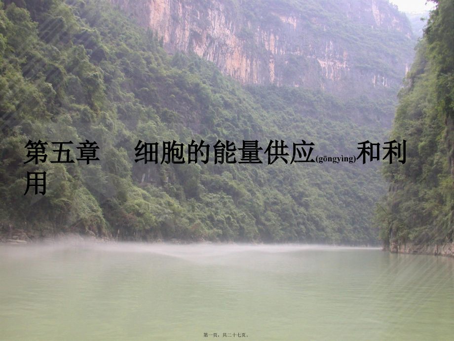 第五章复习--细胞的能量供应和利用.ppt_第1页