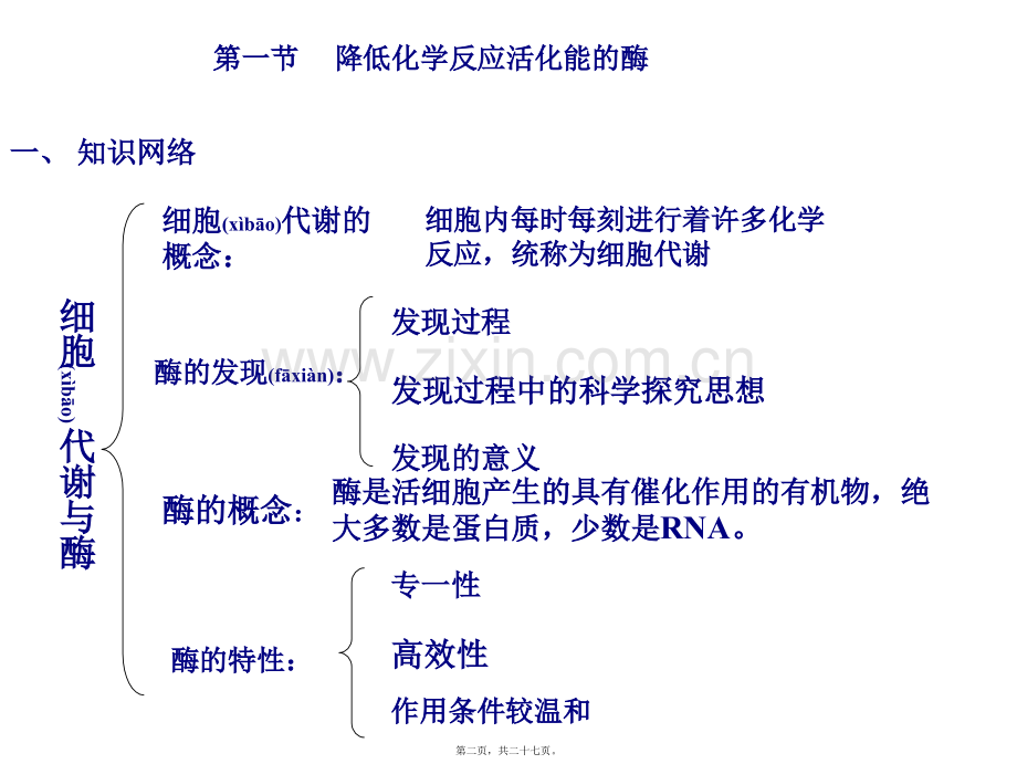 第五章复习--细胞的能量供应和利用.ppt_第2页