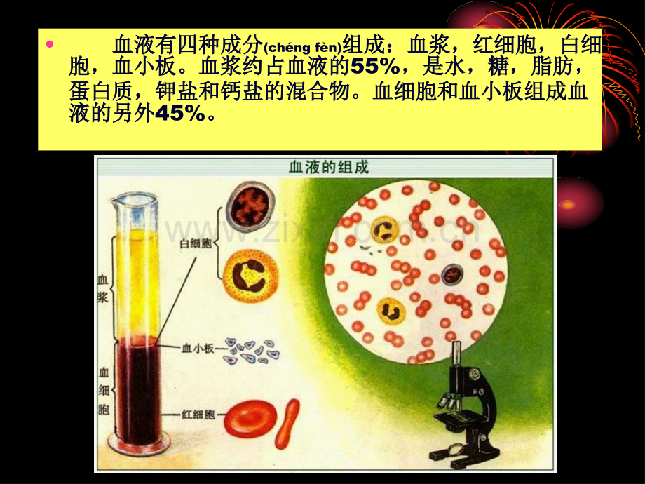 缺铁性贫血.ppttmp.ppt_第2页