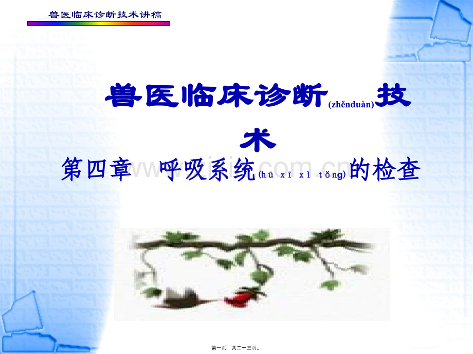 第四章--呼吸系统的检查.ppt_第1页