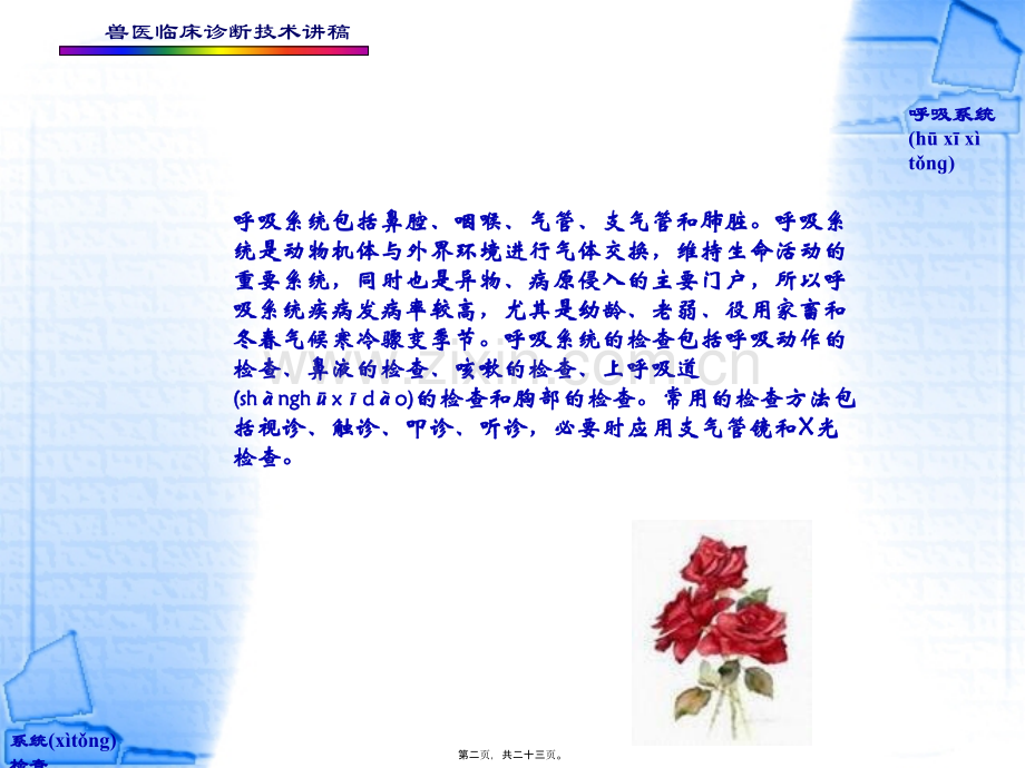 第四章--呼吸系统的检查.ppt_第2页
