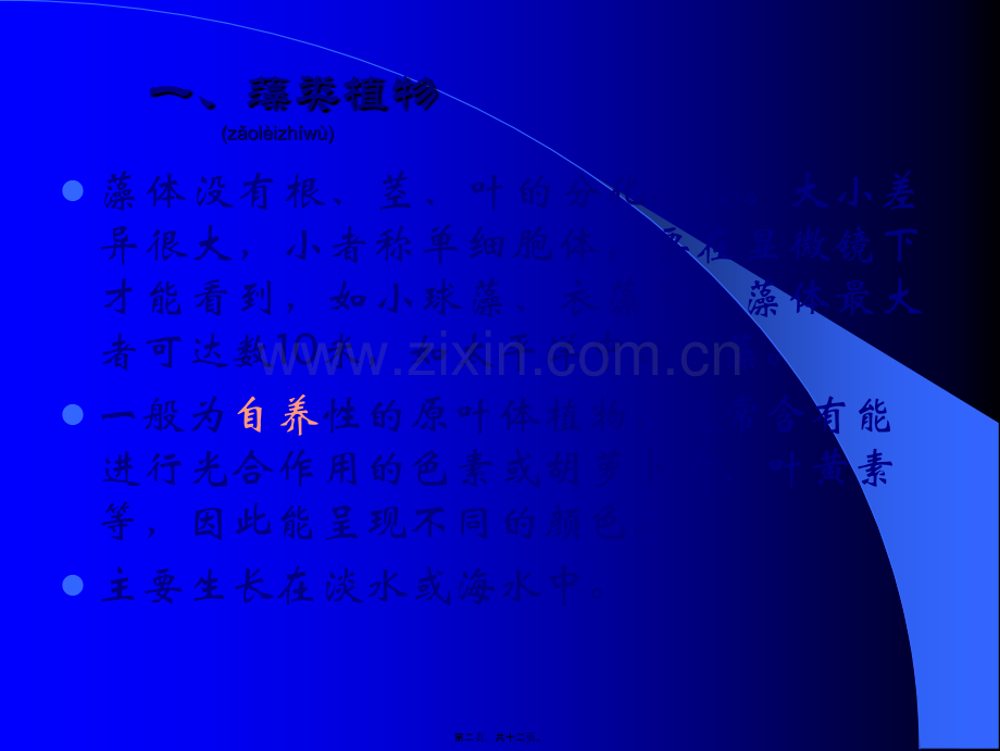 第三篇药用植物的分类.ppt_第2页
