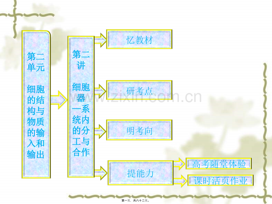 第二章第二讲--细胞器——系统内的分工与合作.ppt_第1页