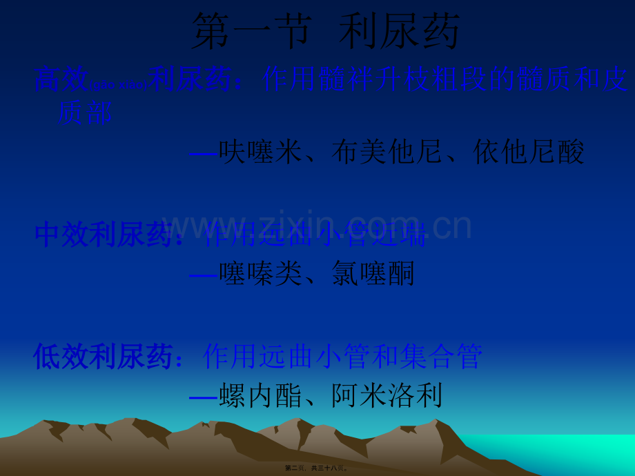 第二十五章-利尿药和脱水药.ppt_第2页