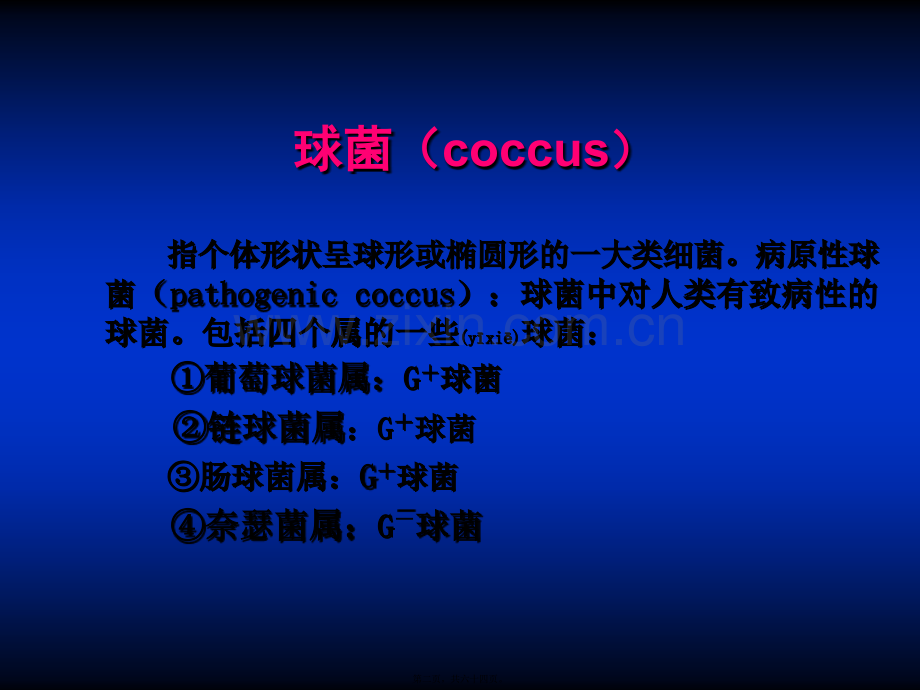 第九章--病原性球菌.ppt_第2页