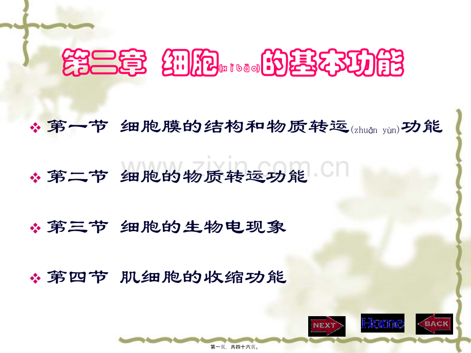 第二章细胞的基本功能.ppt_第1页