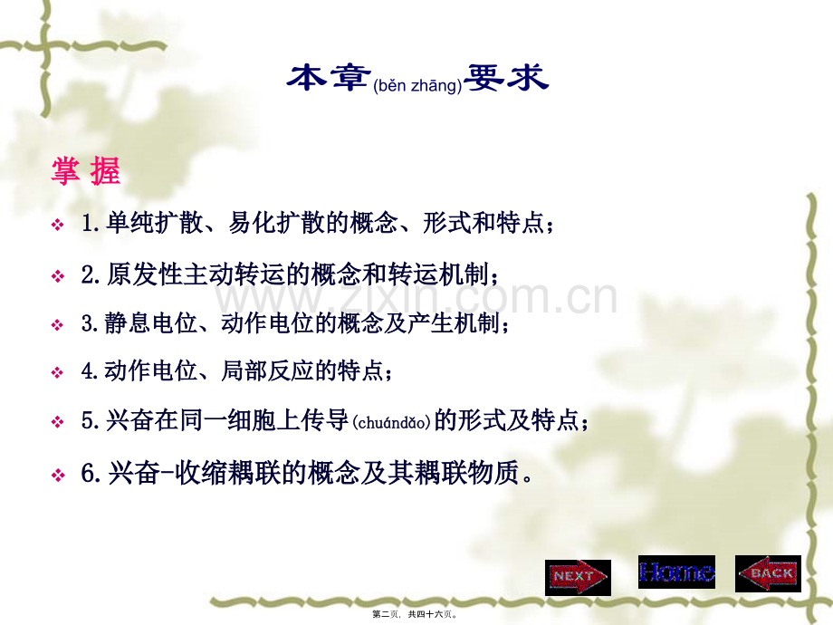 第二章细胞的基本功能.ppt_第2页