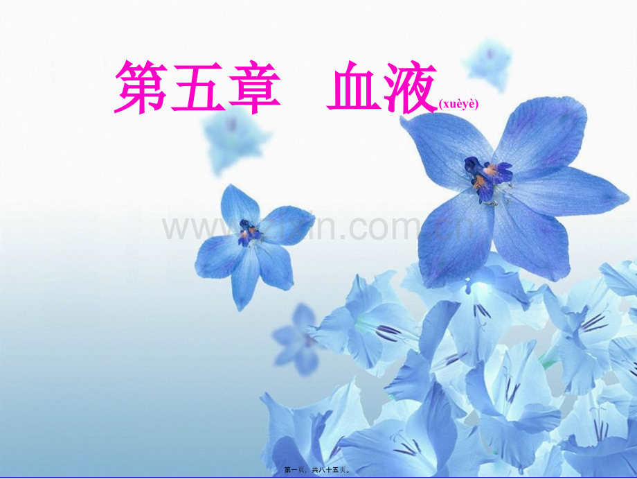 第五章-血液-xu.ppt_第1页