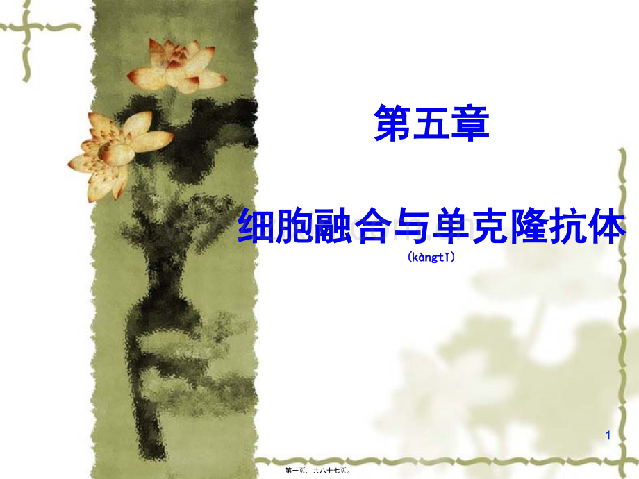 第五章--细胞融合与单克隆抗体10.25.ppt_第1页