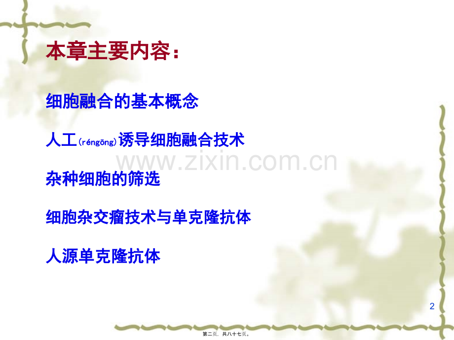 第五章--细胞融合与单克隆抗体10.25.ppt_第2页