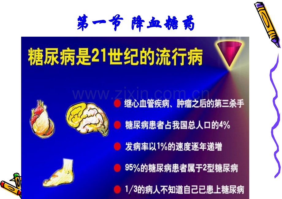 第十章降血糖药和利尿药.ppt_第2页