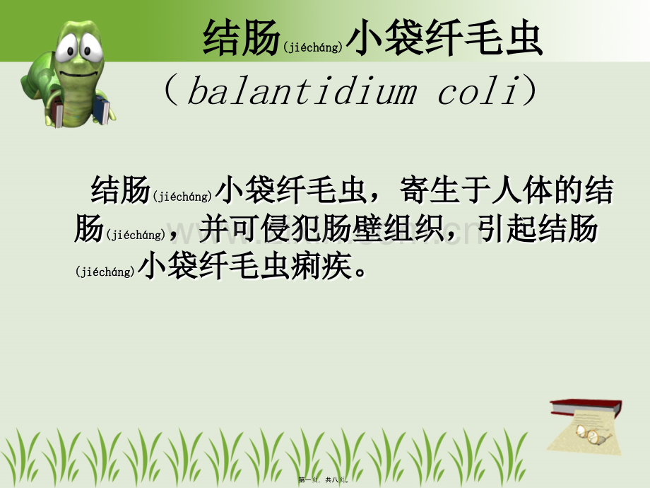 结肠小袋纤毛虫.ppt_第1页