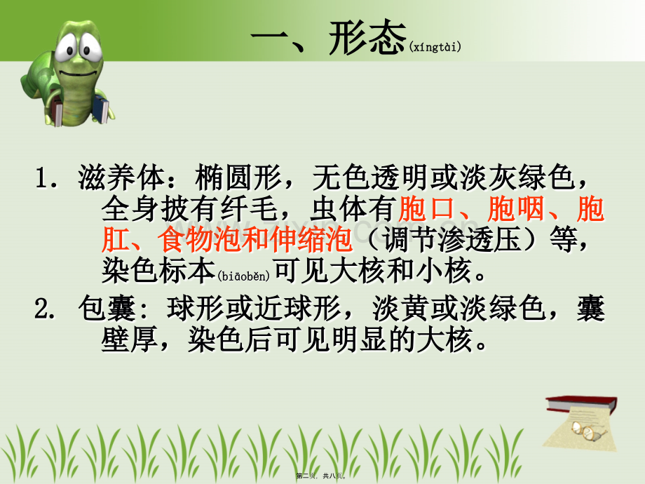 结肠小袋纤毛虫.ppt_第2页