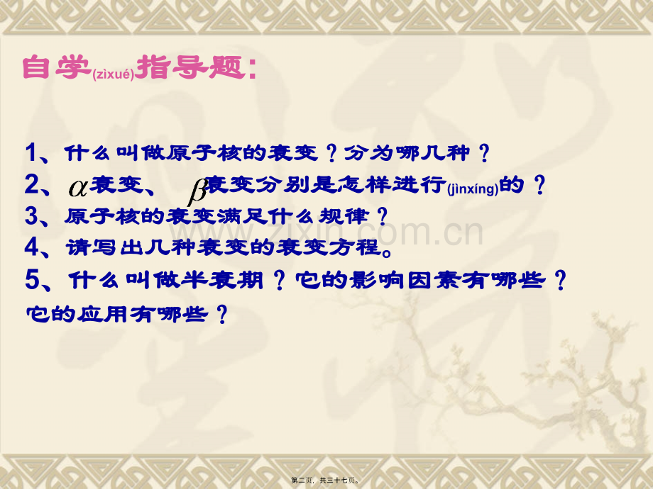 第二34节-放射性元素的衰变.ppt_第2页