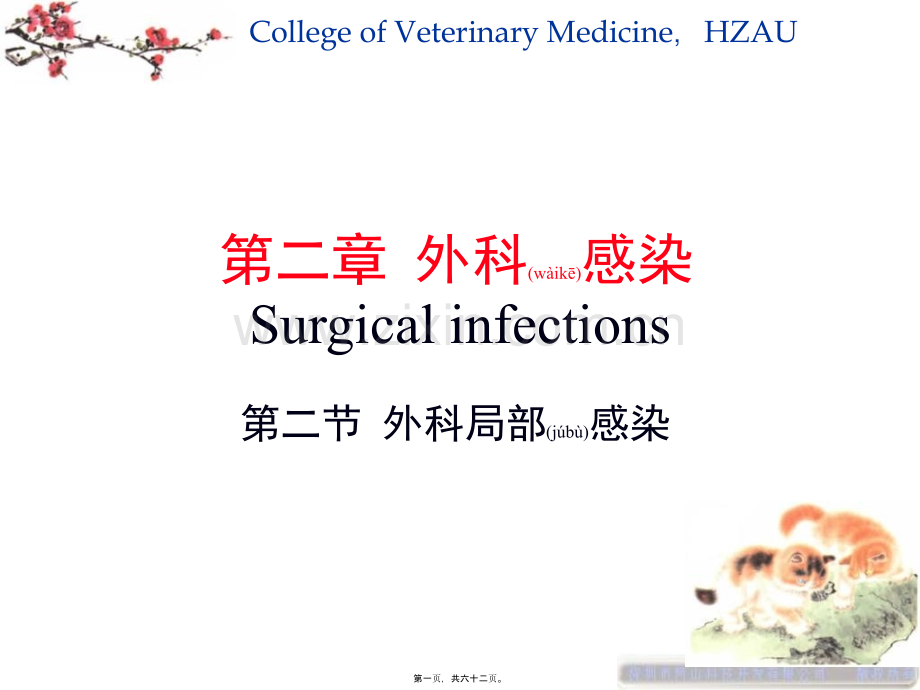 第二章外科局部感染.ppt_第1页