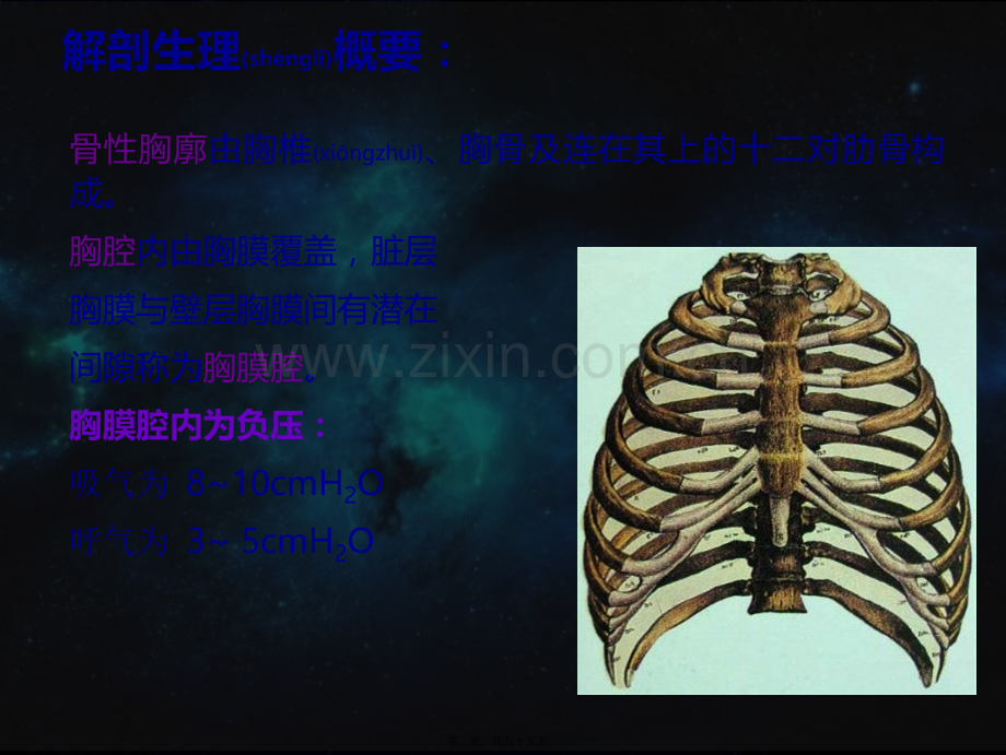 第二十一章-胸部损伤-(1).ppt_第2页