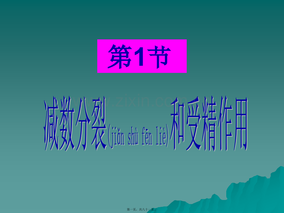 精子与卵细胞的形成.ppt_第1页