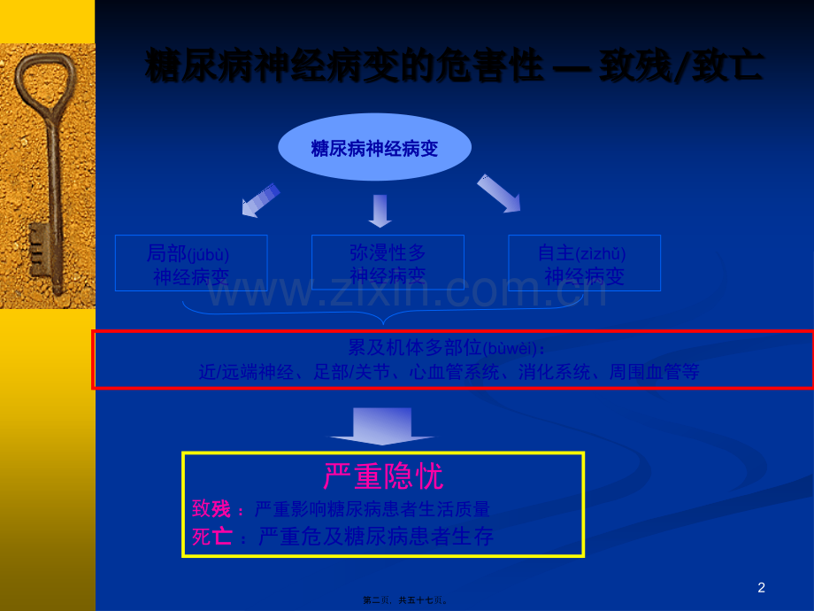 糖尿病神经病变.ppt_第2页