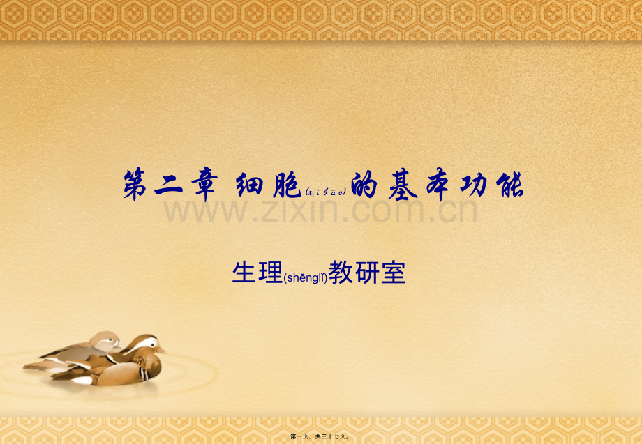 第二篇-细胞基本功能.ppt_第1页