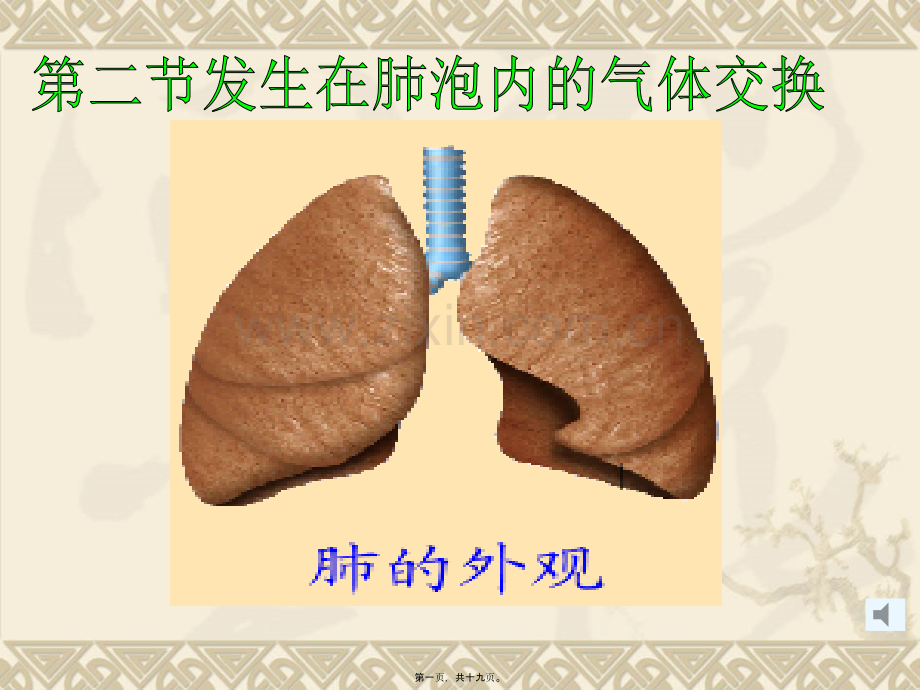 第二节发生在肺泡内的气体交换.ppt_第1页