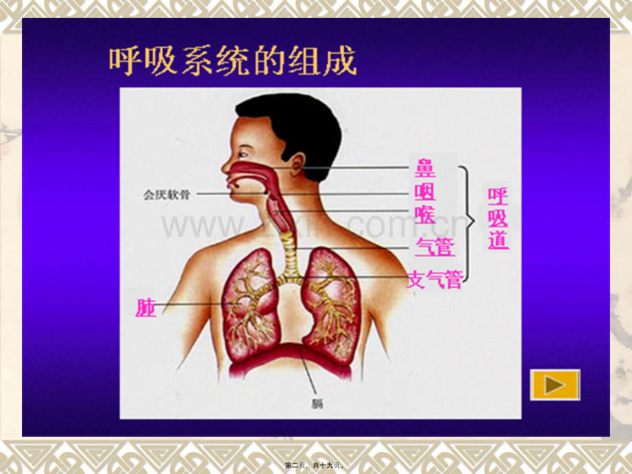 第二节发生在肺泡内的气体交换.ppt_第2页