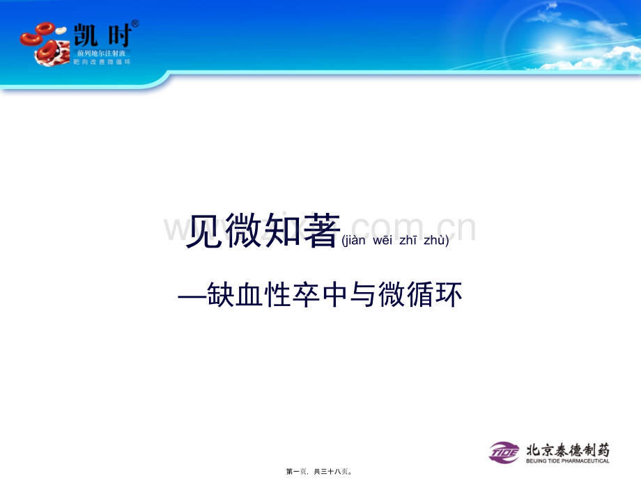 缺血性卒中及微循环.ppt_第1页