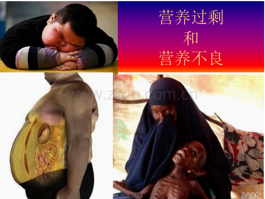 第二单元-合理营养-维护健康-幻灯片.ppt_第2页