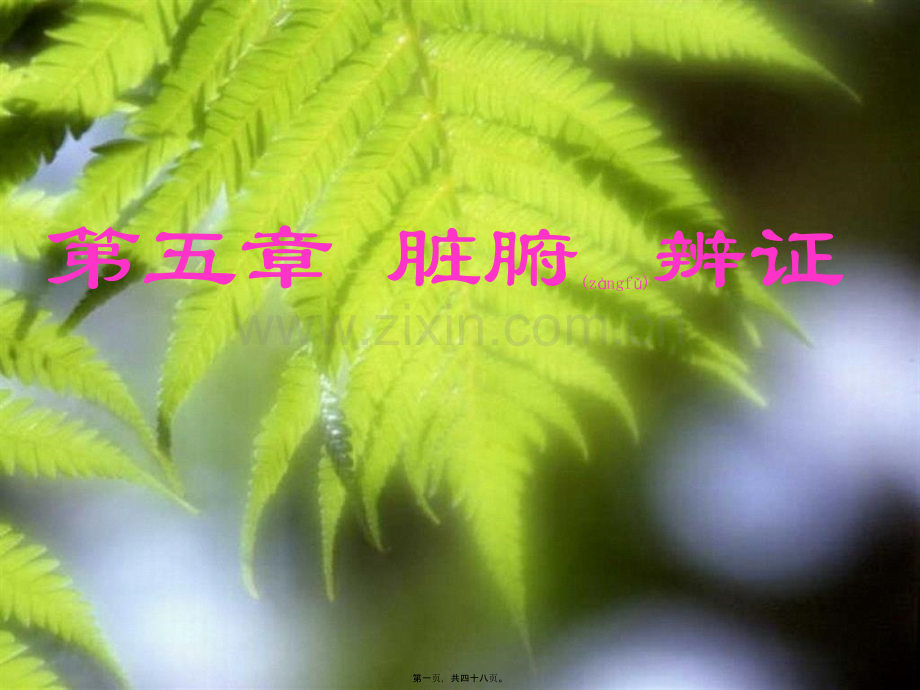 第六章-第二节脏腑辩证.ppt_第1页