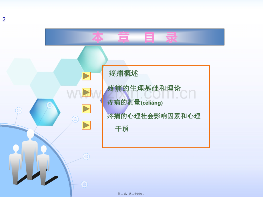 第八节慢性疼痛.ppt_第2页