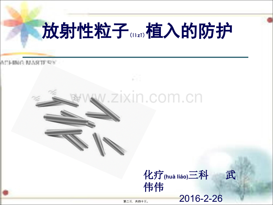 粒子术后防护.pptx_第2页
