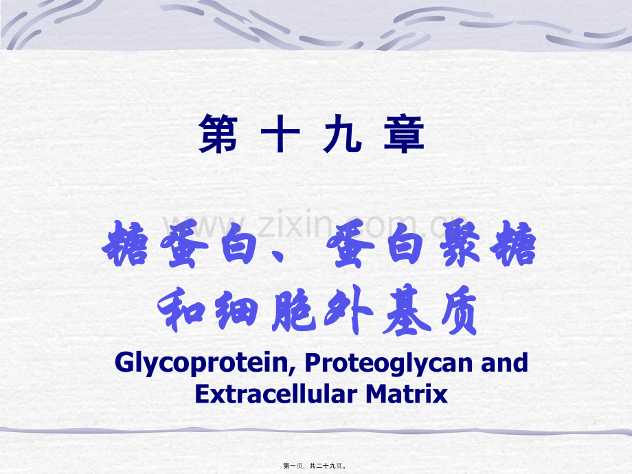 糖蛋白、蛋白聚糖-和细胞外基质-Glycoprotein--….ppt_第1页