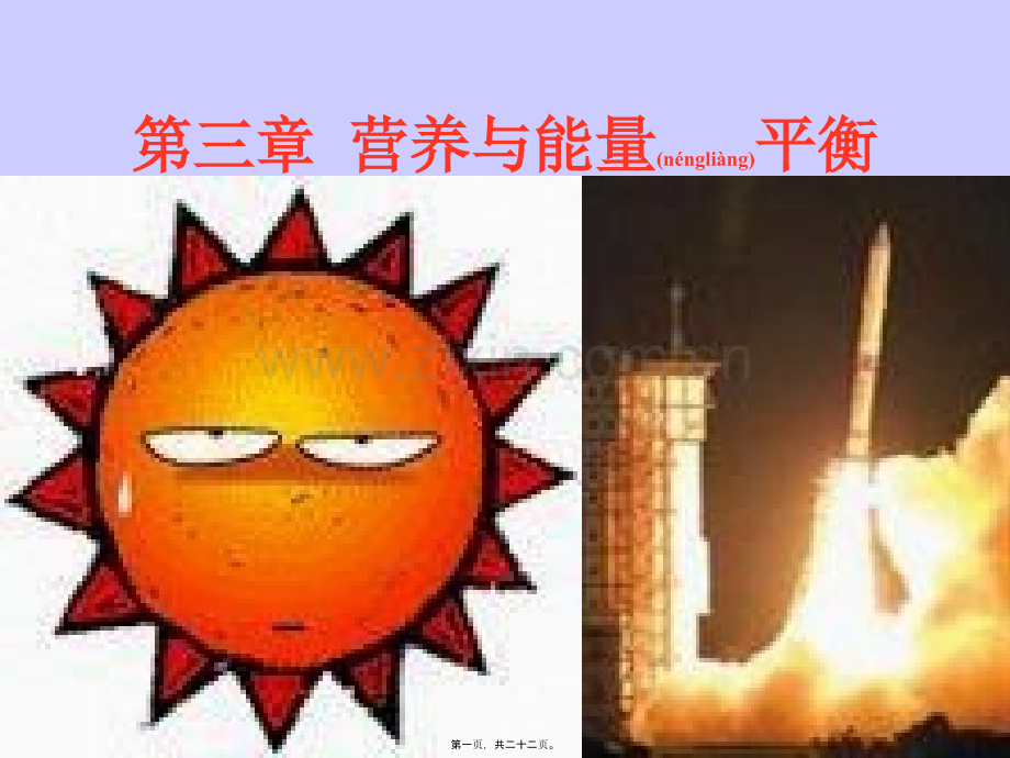第三章营养与能量平衡.ppt_第1页