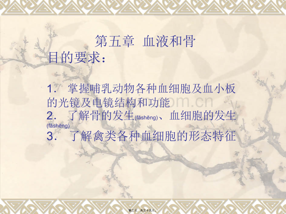 第五章-骨和血液.ppt_第2页