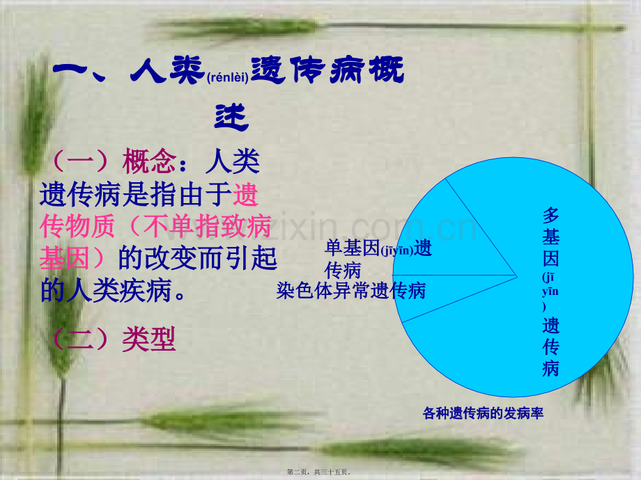第三节人类遗传病.ppt_第2页