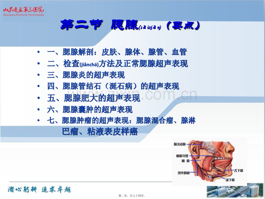 第十九章-浅表器官-涎腺、甲状腺、甲状旁腺超声[1].ppt_第2页