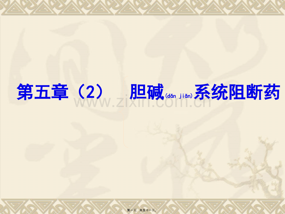 第五章(2)胆碱系统阻断药.ppt_第1页