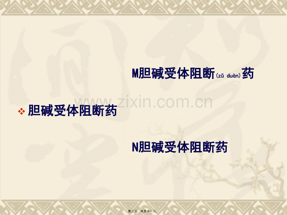 第五章(2)胆碱系统阻断药.ppt_第2页