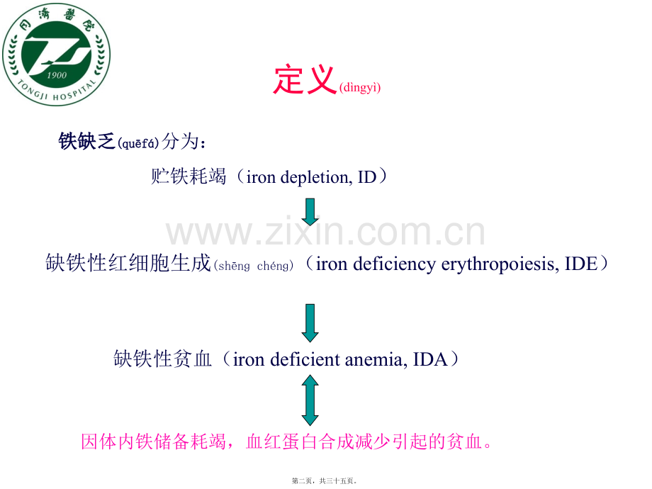 缺铁性贫血2017.ppt_第2页