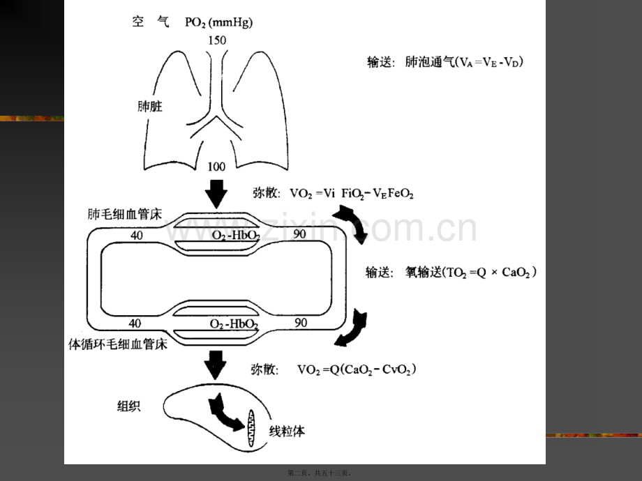 缺氧与氧疗.ppt_第2页