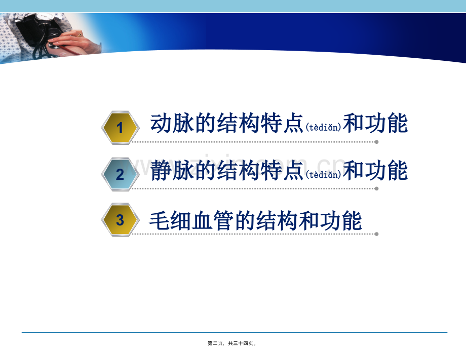 第二节-血流的管道—血管.ppt_第2页
