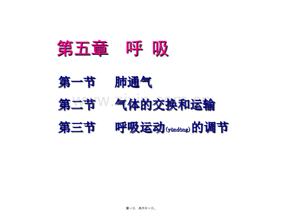 第五章呼吸.ppt_第1页