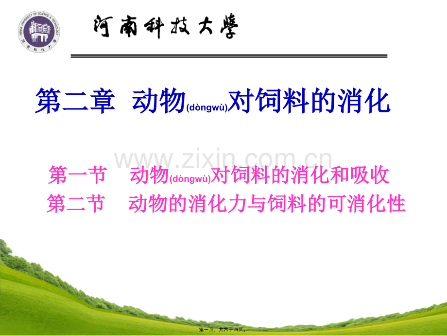 第二讲.动物对饲料的消化.ppt_第1页