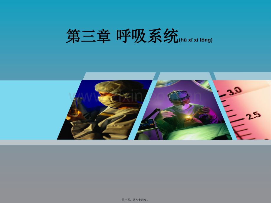 第三章呼吸系统实习.ppt_第1页