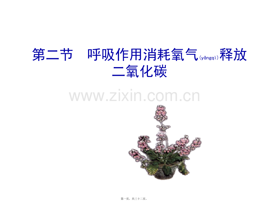 第二节-呼吸作用消耗氧气释放二氧化碳-(1).ppt_第1页