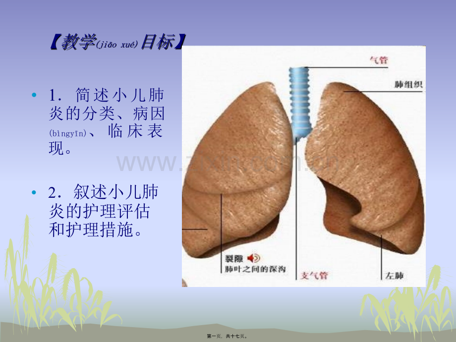 第八章-肺炎及急性呼吸衰竭.ppt_第1页