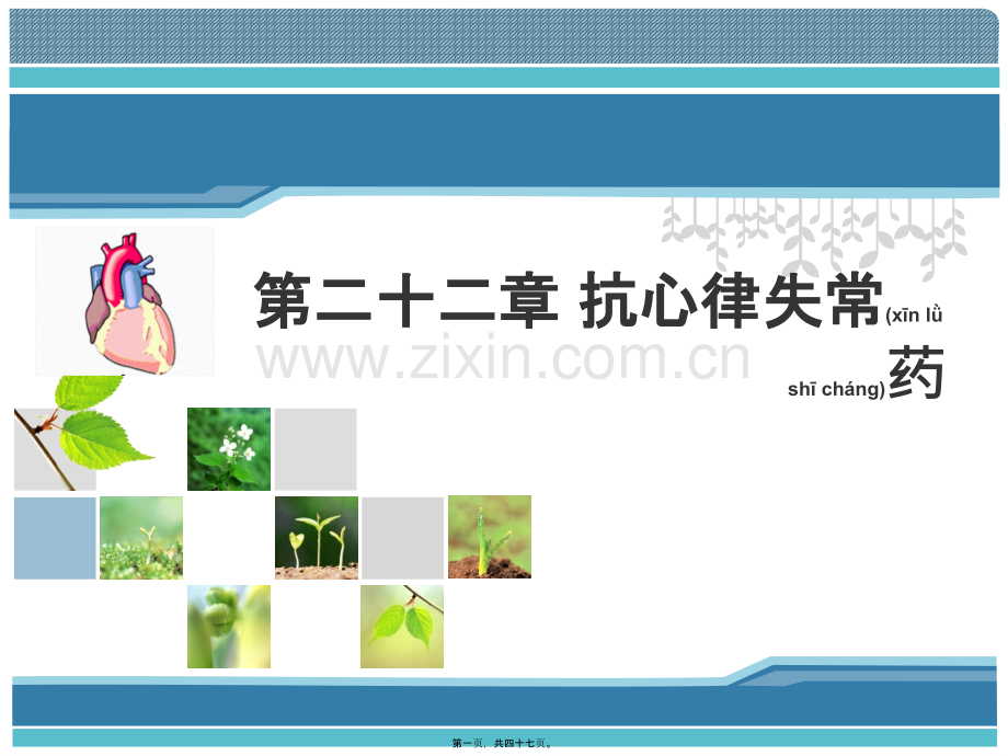 第二十章抗心律失常药分解.ppt_第1页