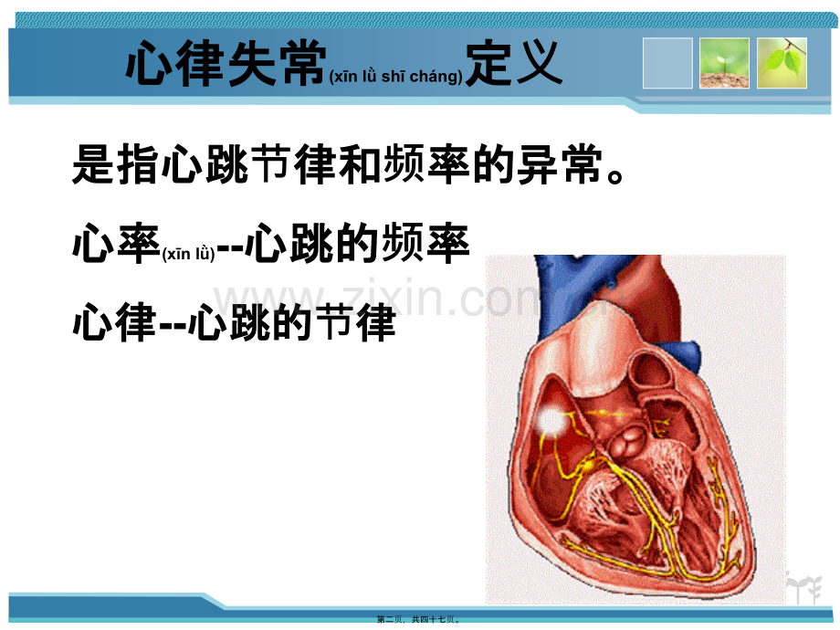 第二十章抗心律失常药分解.ppt_第2页