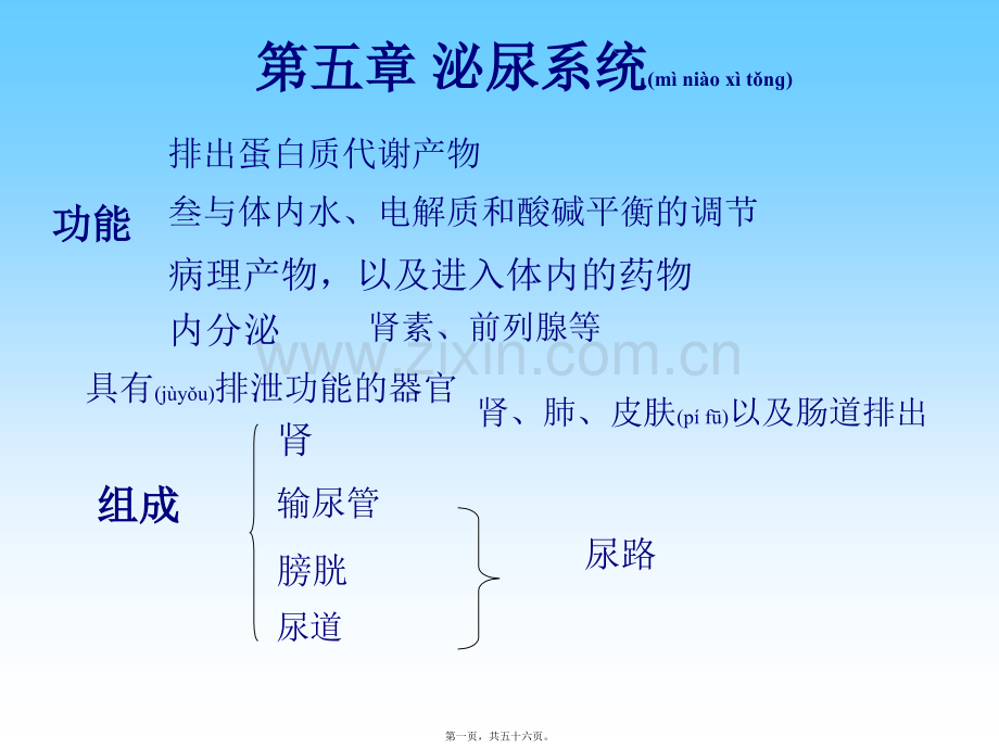 第二篇之泌尿生殖系统.ppt_第1页
