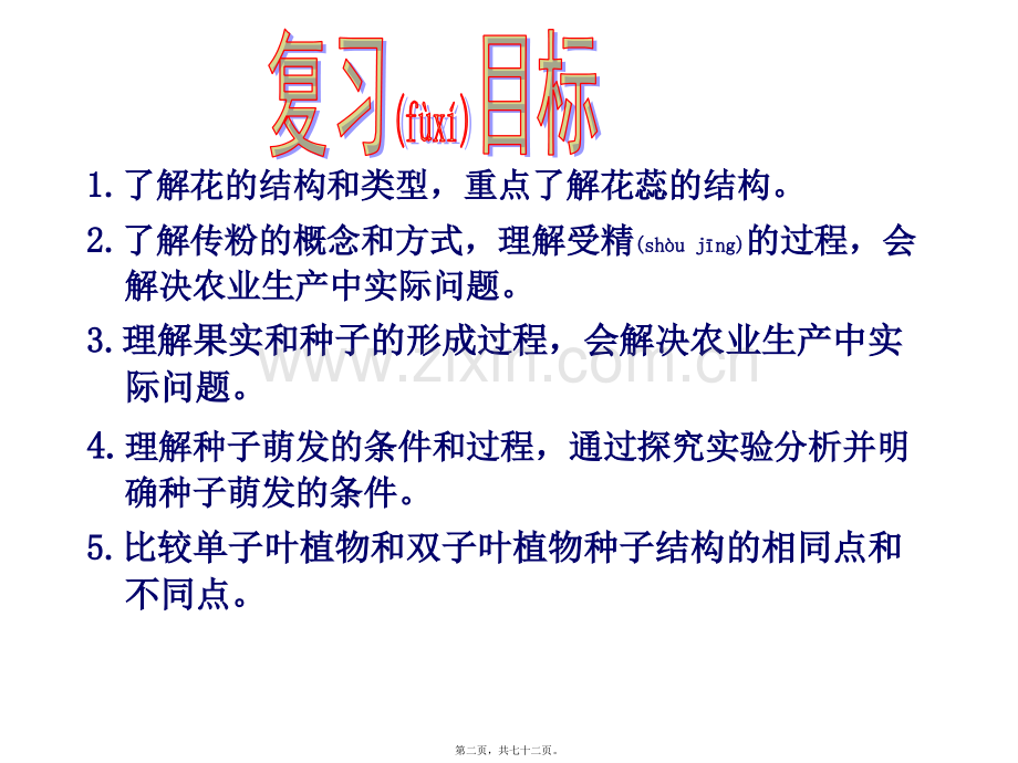 绿色植物的一生总复习吐血制作.ppt_第2页