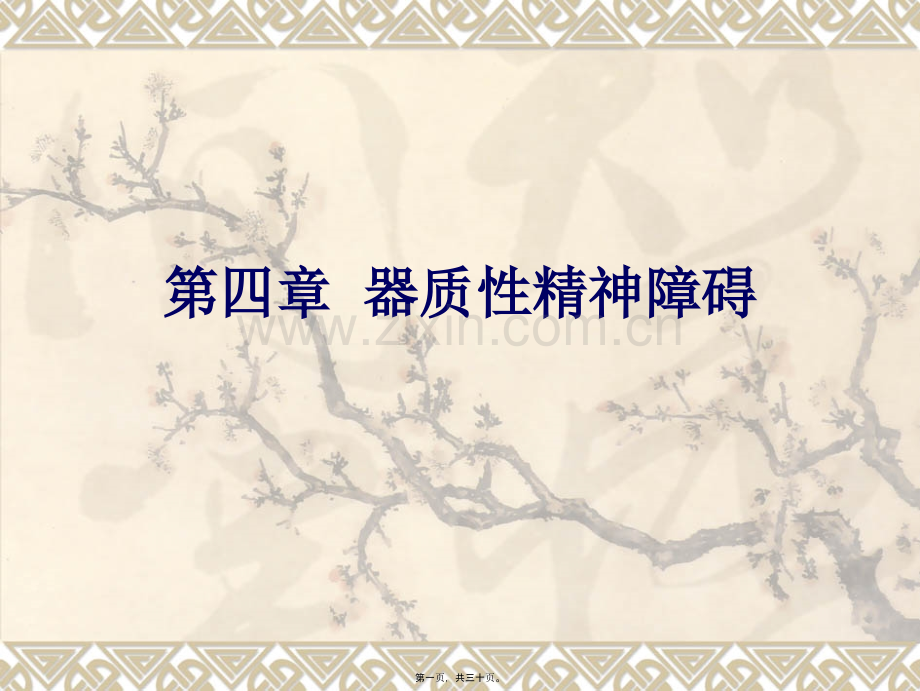 第四章器质性精神障碍详解.ppt_第1页